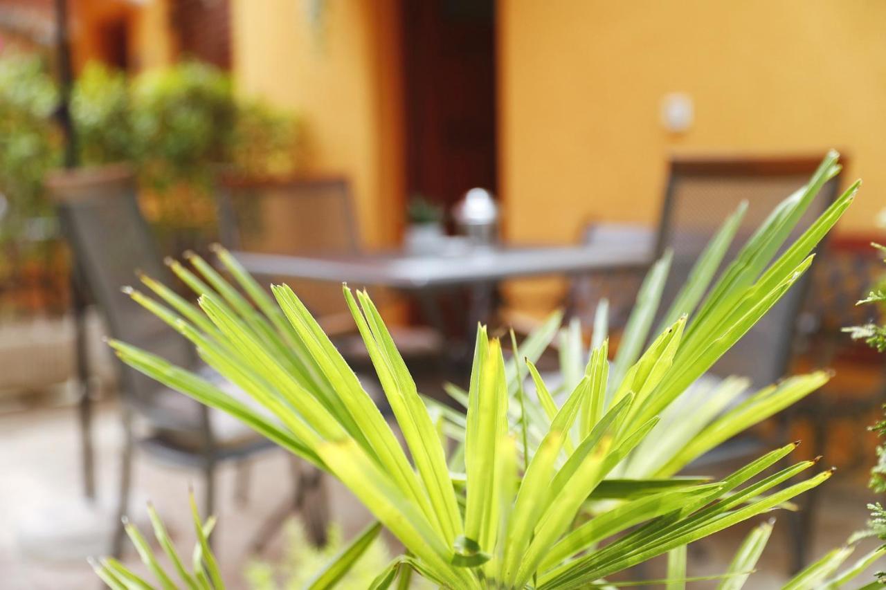 Apartment Strpic *